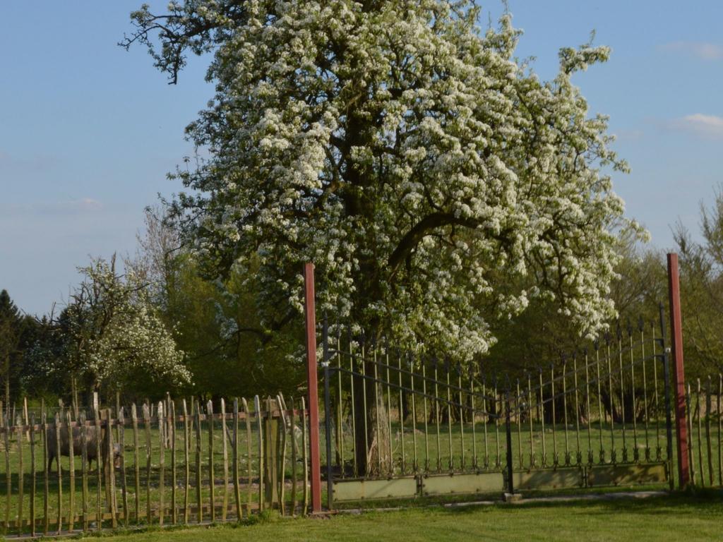 With A Broad View Over The Hilly Landscape Flobecq Esterno foto